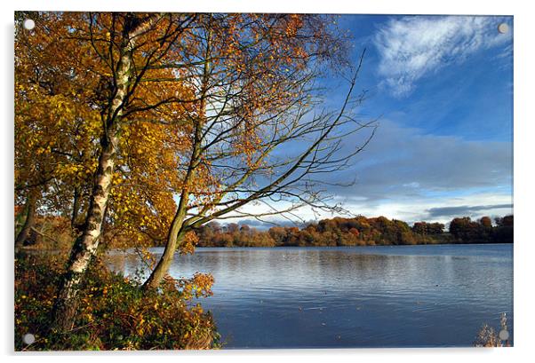 Ellesmere Lake Acrylic by Karen Harding