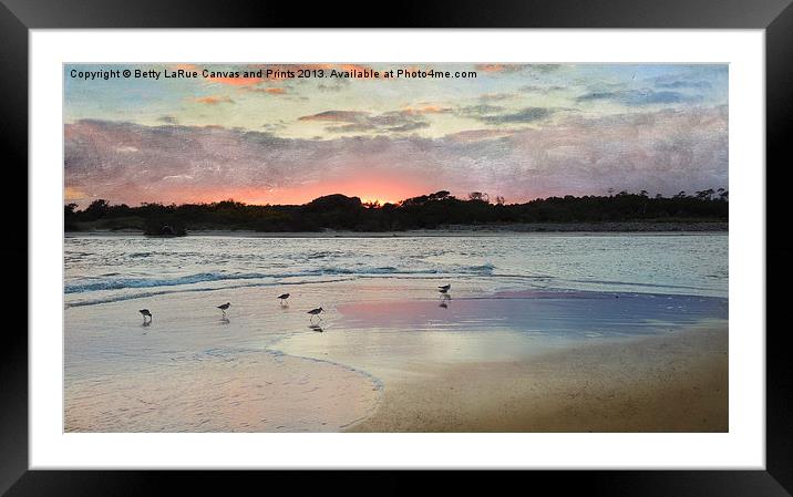 Coastal Beauty Framed Mounted Print by Betty LaRue