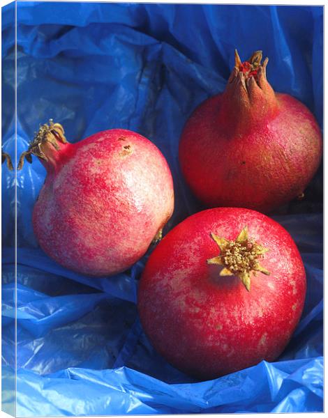 Pomegranates Canvas Print by Steve Outram