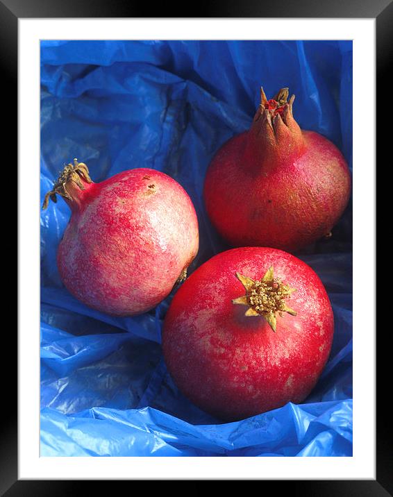 Pomegranates Framed Mounted Print by Steve Outram