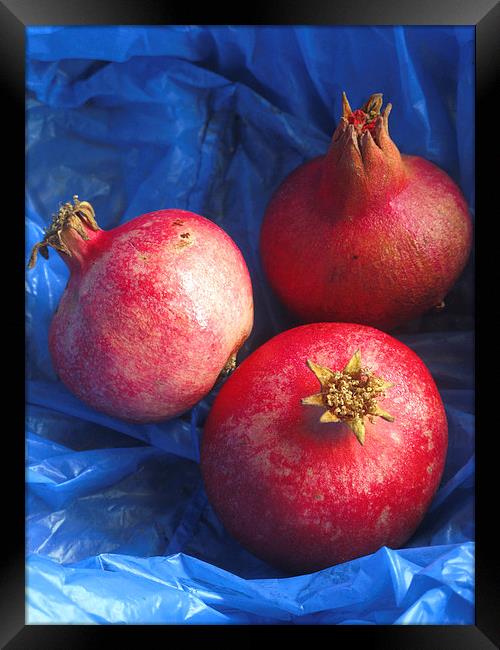 Pomegranates Framed Print by Steve Outram