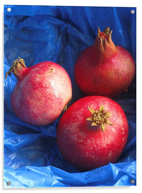 Pomegranates Acrylic by Steve Outram