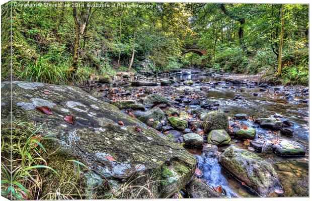 May Beck Canvas Print by Steve H Clark