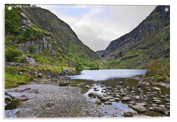 Lake at the Gap of Dunloe Acrylic by Jane McIlroy