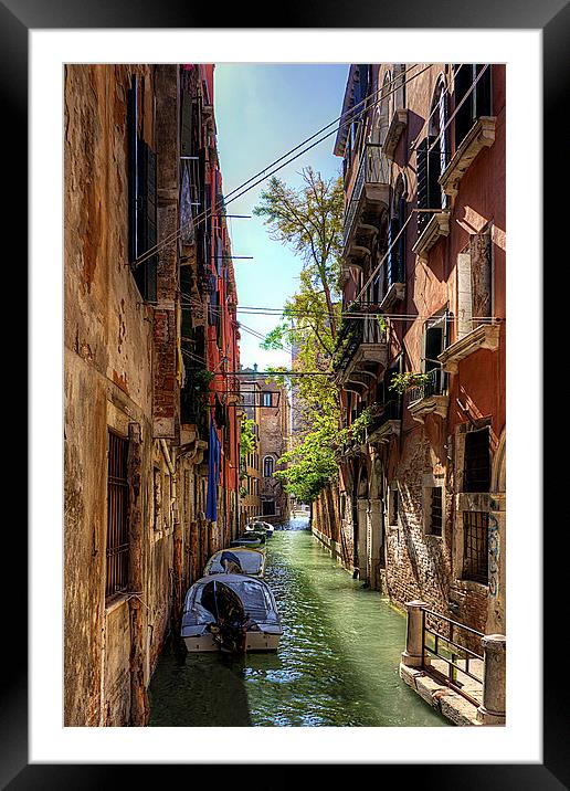 Backwater canal Framed Mounted Print by Tom Gomez