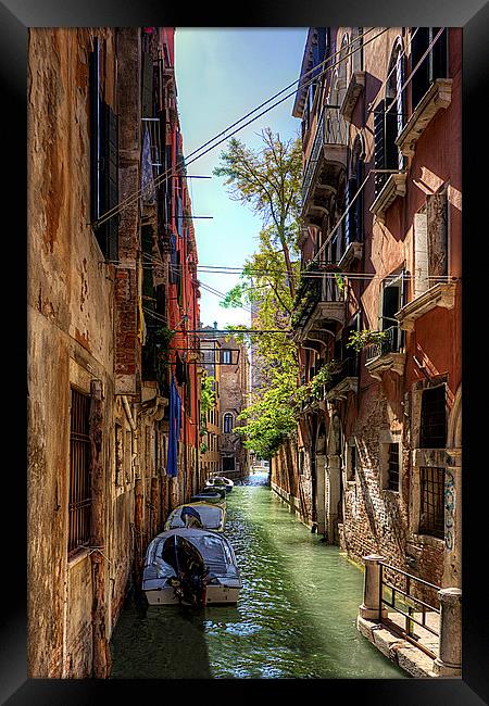 Backwater canal Framed Print by Tom Gomez