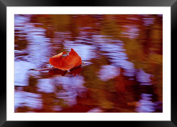 FLOATING AWAY Framed Mounted Print by David Atkinson