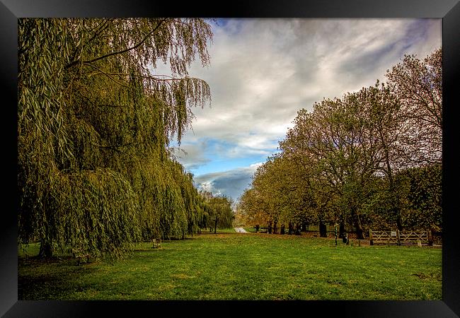 Sandwich view Framed Print by Thanet Photos