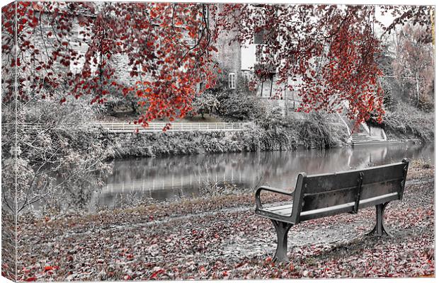 Autumn beside the Wye Canvas Print by Catherine Joll