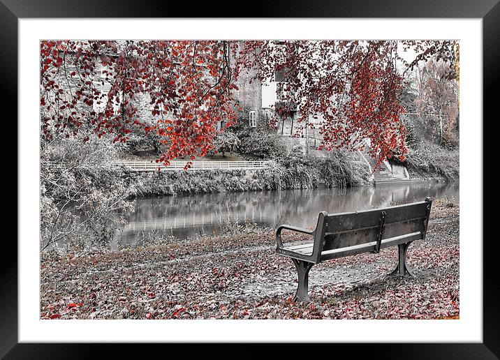 Autumn beside the Wye Framed Mounted Print by Catherine Joll