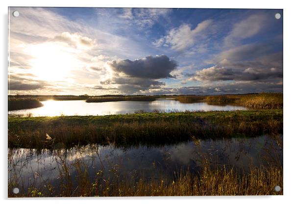 Minsmere Landscape Suffolk Acrylic by Darren Burroughs