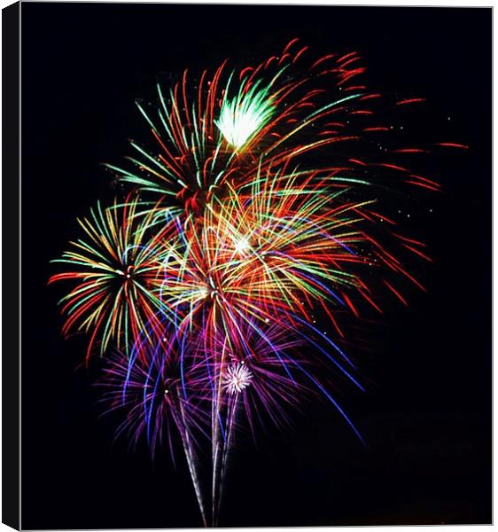 Fireworks Across the Bay Canvas Print by Beach Bum Pics