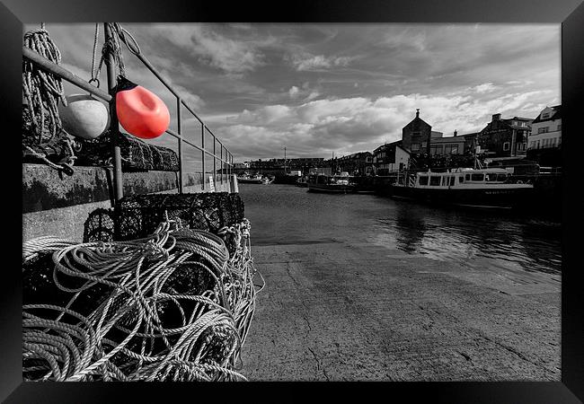 Seahouses Harbour Framed Print by Northeast Images