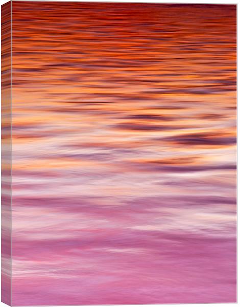 Reflections Canvas Print by Derek Whitton