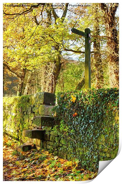 Country Stile, Derbyshire Print by David Birchall