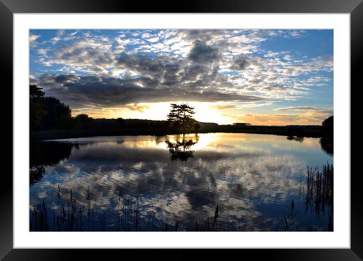 Reflections of a beautiful day Framed Mounted Print by Gary Pearson