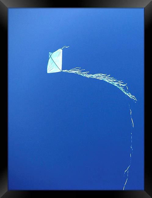 Kite Framed Print by Steve Outram