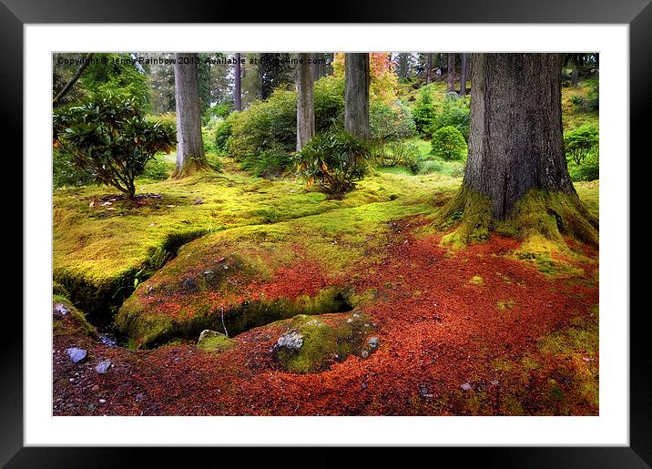 Colorful Carpet of Moss in Benmore Botanical Garde Framed Mounted Print by Jenny Rainbow