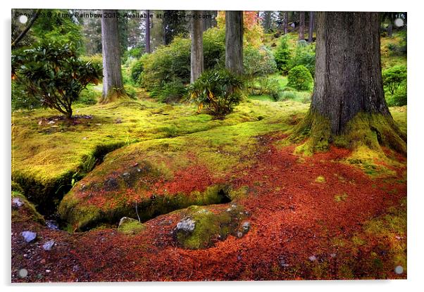 Colorful Carpet of Moss in Benmore Botanical Garde Acrylic by Jenny Rainbow