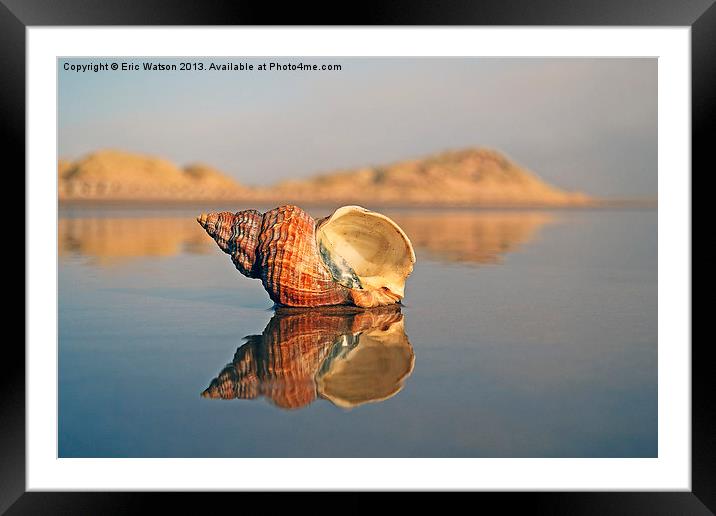 Reflective Shell Framed Mounted Print by Eric Watson
