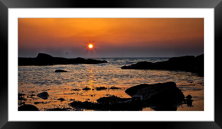 Moray Firth Framed Mounted Print by Liam McBride
