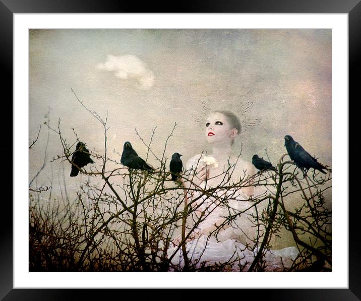 The Wish Framed Mounted Print by Dawn Cox