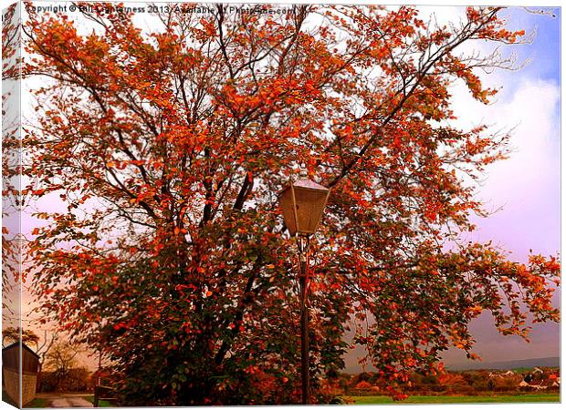 The Lampost and the Tree Canvas Print by Bill Lighterness