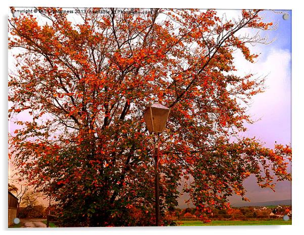 The Lampost and the Tree Acrylic by Bill Lighterness