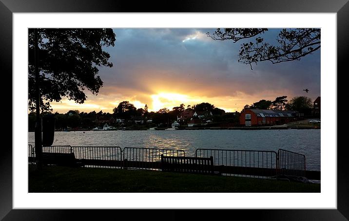sunset at the park Framed Mounted Print by chrissy woodhouse