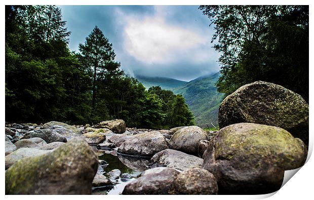 Misty Glen Print by Chris Murphy