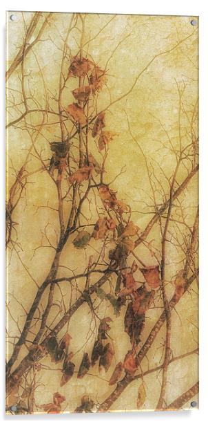 Autumns Last Acrylic by Julie Coe