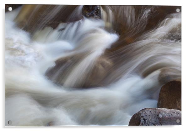 Au Sable River, Adirondacks Acrylic by David Roossien