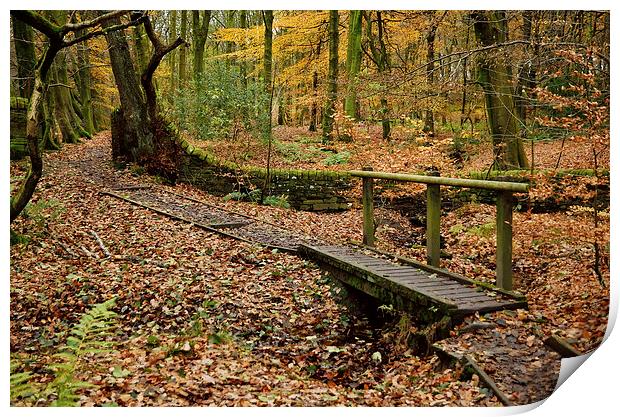 Roddlesworth Woods in the Autumn Print by Gary Kenyon