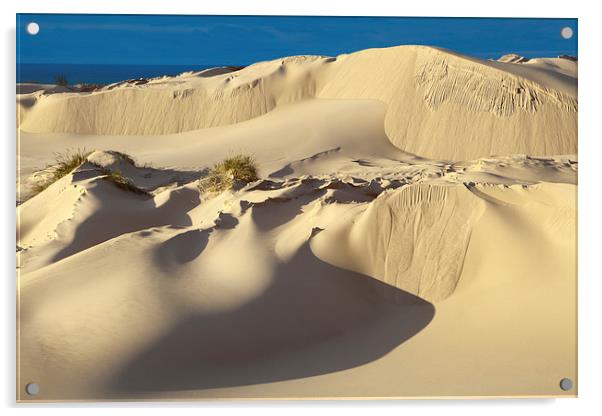 Lake Michigan Dune Acrylic by David Roossien