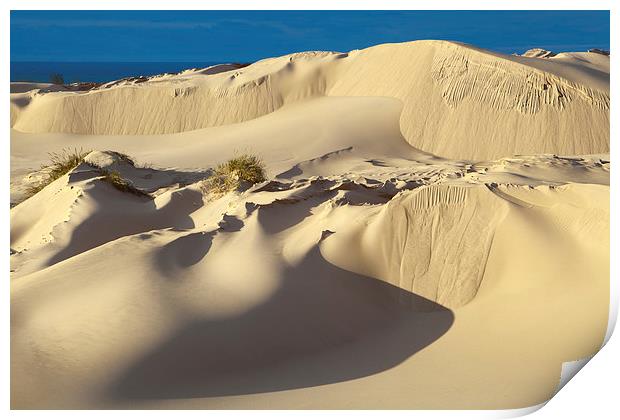 Lake Michigan Dune Print by David Roossien