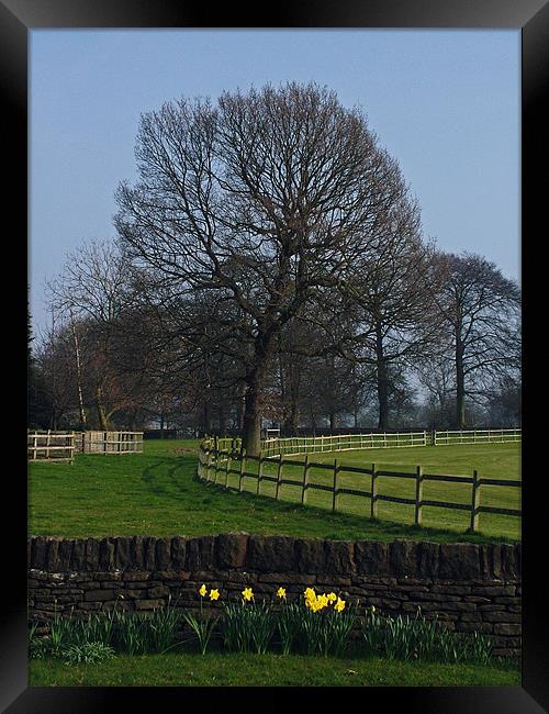 The Boundary Framed Print by Stephen Brown