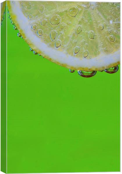 Lemon & Lime Canvas Print by mike Davies