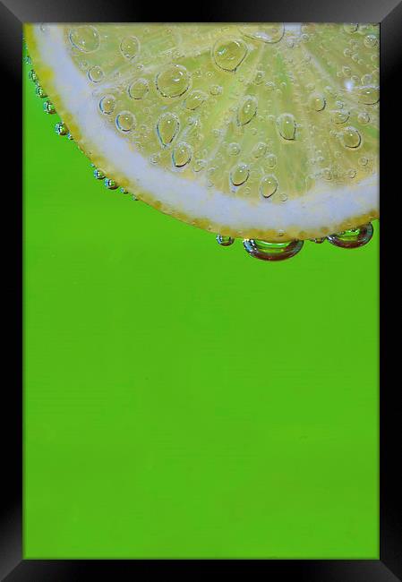 Lemon & Lime Framed Print by mike Davies