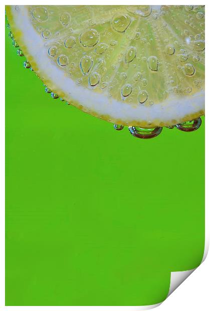 Lemon & Lime Print by mike Davies