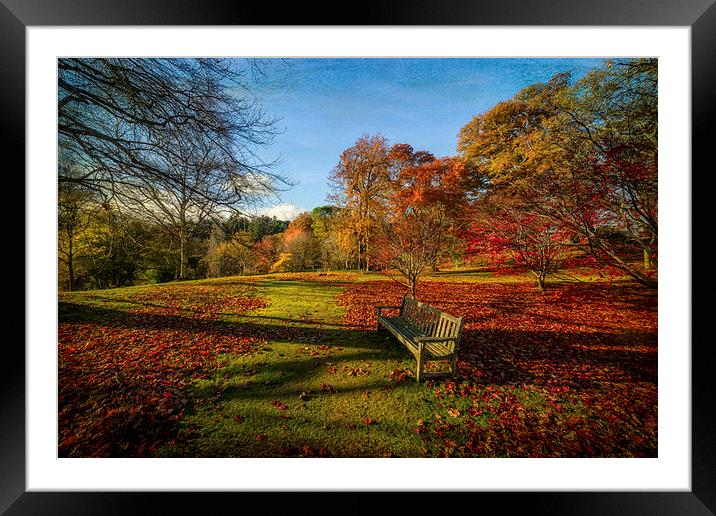 Afternoon Shadows Framed Mounted Print by Adrian Evans
