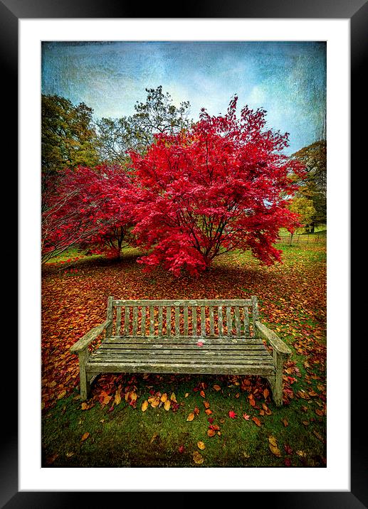 Enjoy the View Framed Mounted Print by Adrian Evans