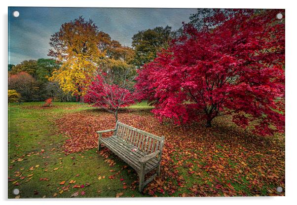 Autumn in the Park Acrylic by Adrian Evans