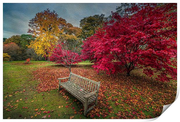Autumn in the Park Print by Adrian Evans