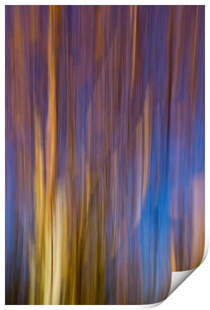 Autumn abstract Print by David Pyatt