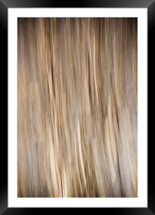 Abstract of Autumn Framed Mounted Print by David Pyatt