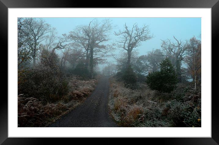 Frosty Morning Framed Mounted Print by barbara walsh