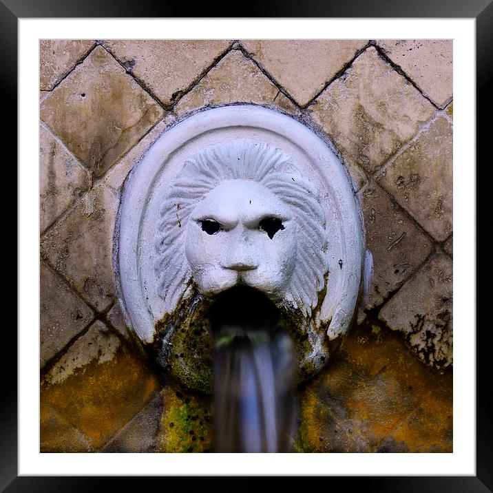 Fountain head Framed Mounted Print by Rod Ohlsson