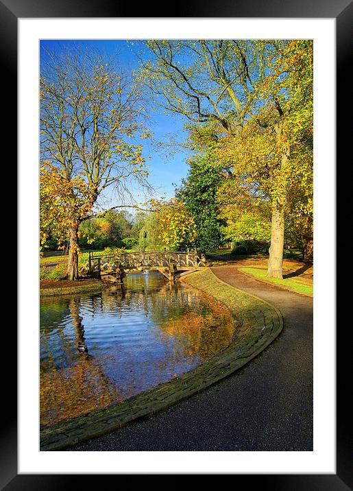 Weston Park Pond in Sheffield Framed Mounted Print by Darren Galpin
