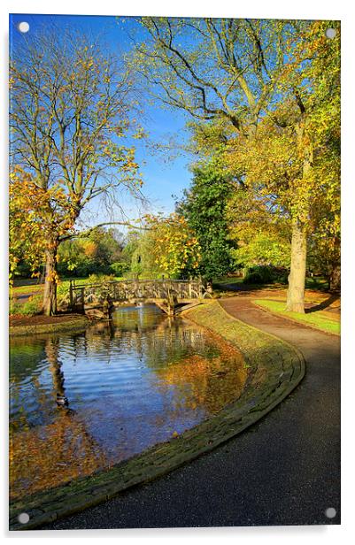 Weston Park Pond in Sheffield Acrylic by Darren Galpin