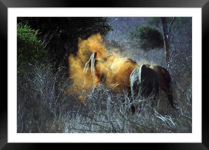 JST2725 Elephant takes a dust bath Framed Mounted Print by Jim Tampin
